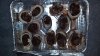 20171021_081454.jpg