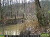 11170032HopkinsPark.JPG