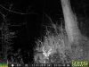 11210052HopkinsPark.JPG