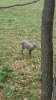 IMG_20171025_152817142.jpg