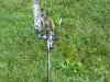 DSCN1181.JPG
