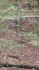 IMG_20171027_081004151.jpg
