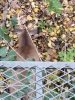 20171027_172412.jpg