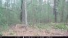 Resized_IMG_0019_3520.jpeg