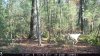 Resized_IMG_0003_3043.jpeg