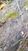 20171028_103910.jpg