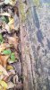 20171028_103914.jpg