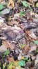20171028_104038.jpg