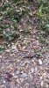 20171028_114214.jpg