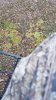 20171029_075420.jpg
