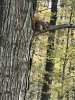IMG_0525.JPG