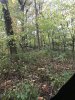 0169A64B-0284-465D-8D54-77CA14B1F596.jpeg