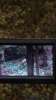 IMG_2086.PNG