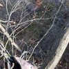 20171103_171448.jpg