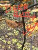 20171104_172845.jpg