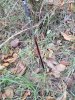 20171105_073650.jpg