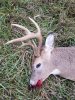 20171105_082103.jpg