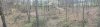 68358B3F-66F2-4E7A-88DA-7351B2A2099E.jpeg