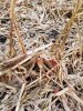 20171106_072245.jpg