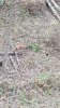 20171106_074236.jpg