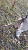 20171108_083418.jpg