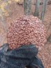 20171109_115115.jpg