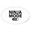 ninja_mode_on_oval_sticker-rbc723f80a6554dbeac05ba135ce0bec8_v9wz7_8byvr_324.jpg