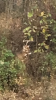 2FACF365-EAEA-4540-8861-65E15D62E883.png