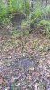 20171108_082121.jpg