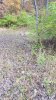 20171108_082741.jpg