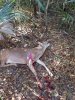20171119_093047.jpg