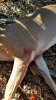 20171119_093418.jpg