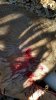20171119_093444.jpg