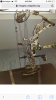 1CE323D8-BAD1-4789-899F-F3D3E2886B94.png
