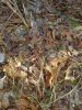 20171119_085304.jpg
