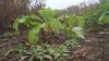 20171105_142434.jpg