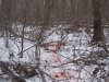 IMG_0279.JPG