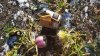 20171208_140544.jpg