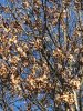 IMG_0228.JPG