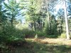 DSCN0010.JPG
