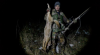 deaddog.png