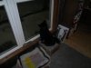 SAM_0479.JPG