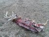 20170221_143140.jpg