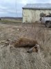 20170221_151930.jpg
