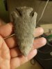20170626_213010.jpg