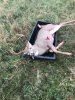 2017 MA Archery 12.jpg