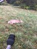 2017 MA Archery.jpg
