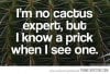 funny-quote-cactus-prick[1].jpg