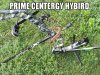 prime-centergy-hybird.jpg