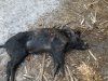 20180305_092232.jpg